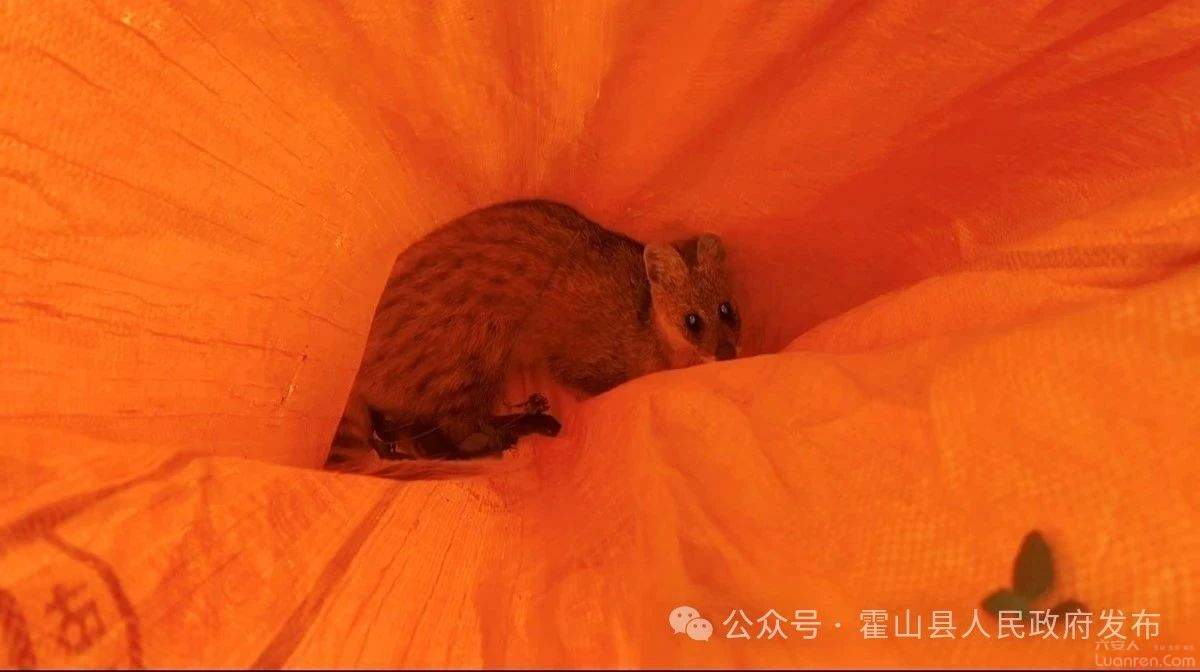 ΢ͼƬ_20250609084000.jpg