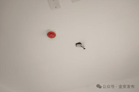 ΢ͼƬ_20250619100210.png