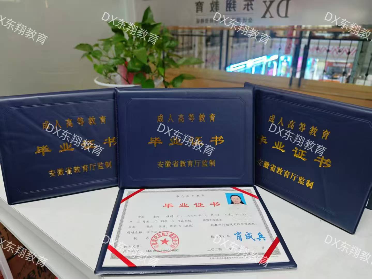 c86c88fa168eb76d08b6733d93451ea.jpg