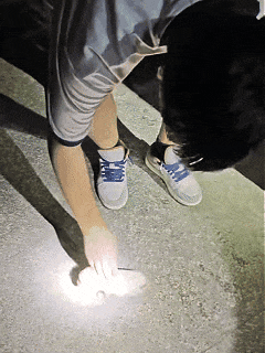 7fbb7cb907767b98351ec21a44ea9403.gif