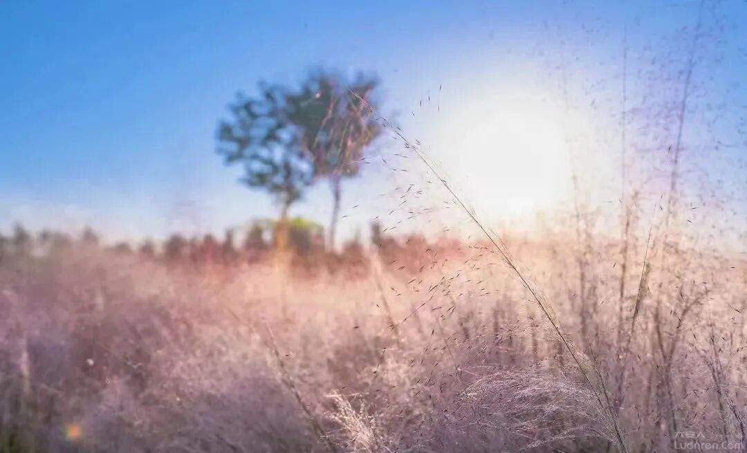 a69d93ae54deb26c6d4dd6ed79155756.jpg