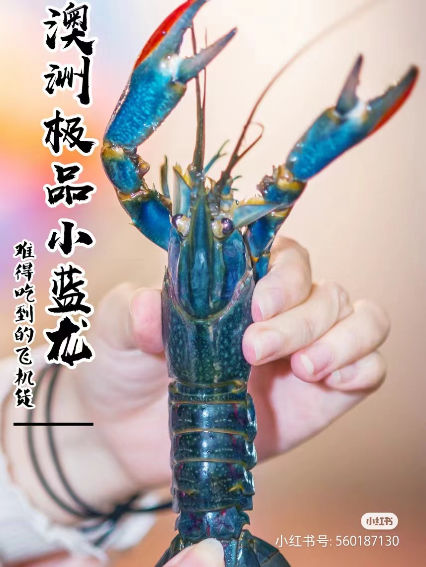 20240426205908front1_0_529752_FmUZbA3p7OcGM56Dd7vlyQuiTxgg.jpg