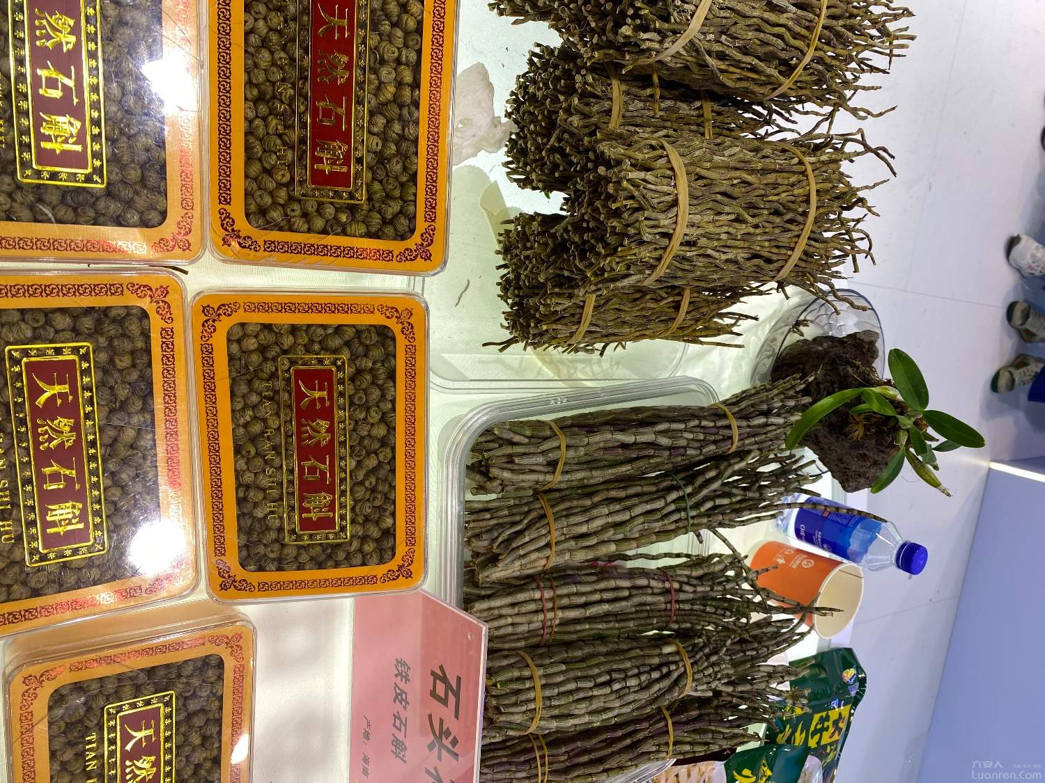 IMG_1870.jpeg