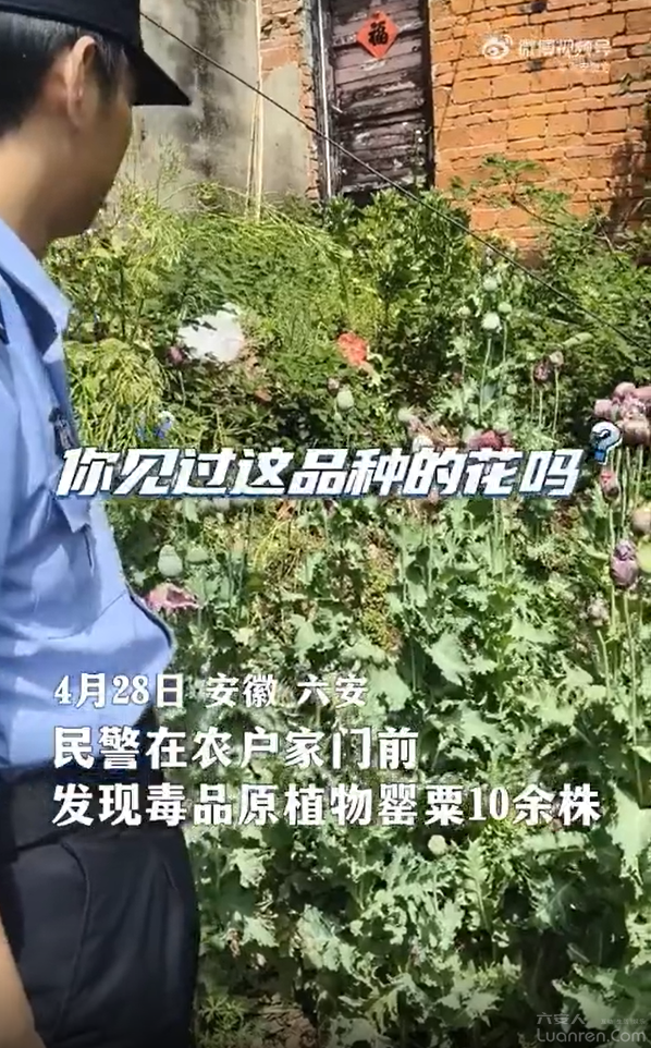 QQ20250506-082329.png