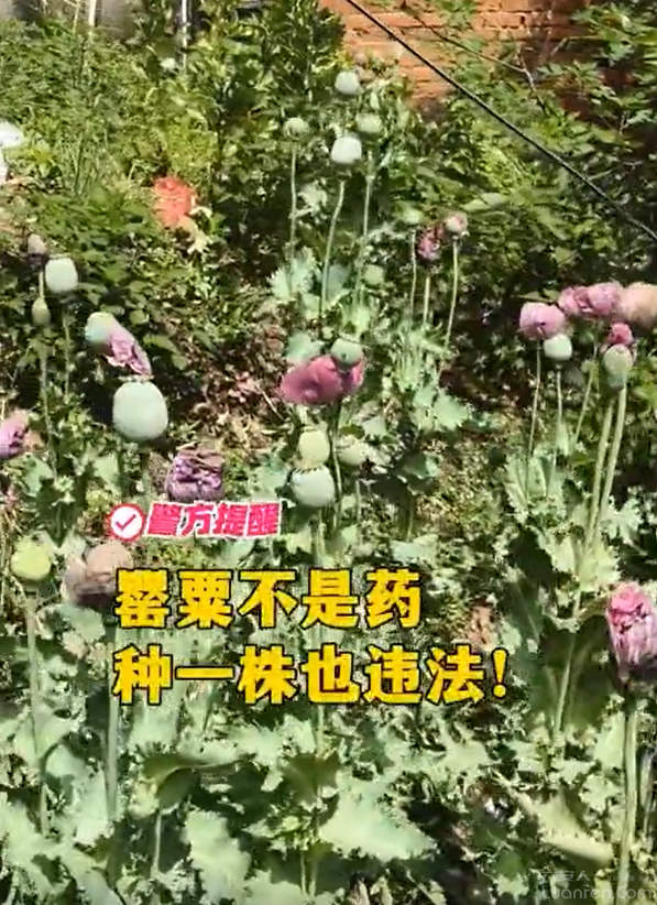 QQ20250506-082402.png