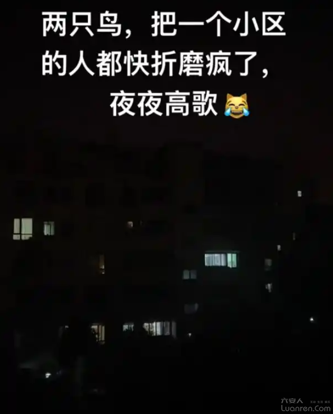 QQ20250516-092307.png