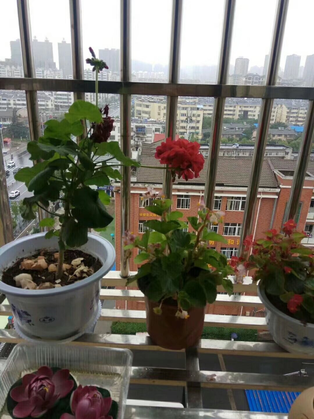 Image_1750404719349.jpg