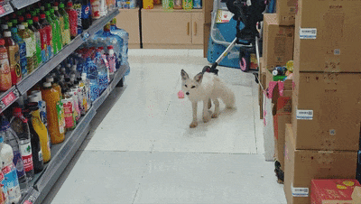 2629fe1fb47307f900ec258fc1ae3b3b.gif