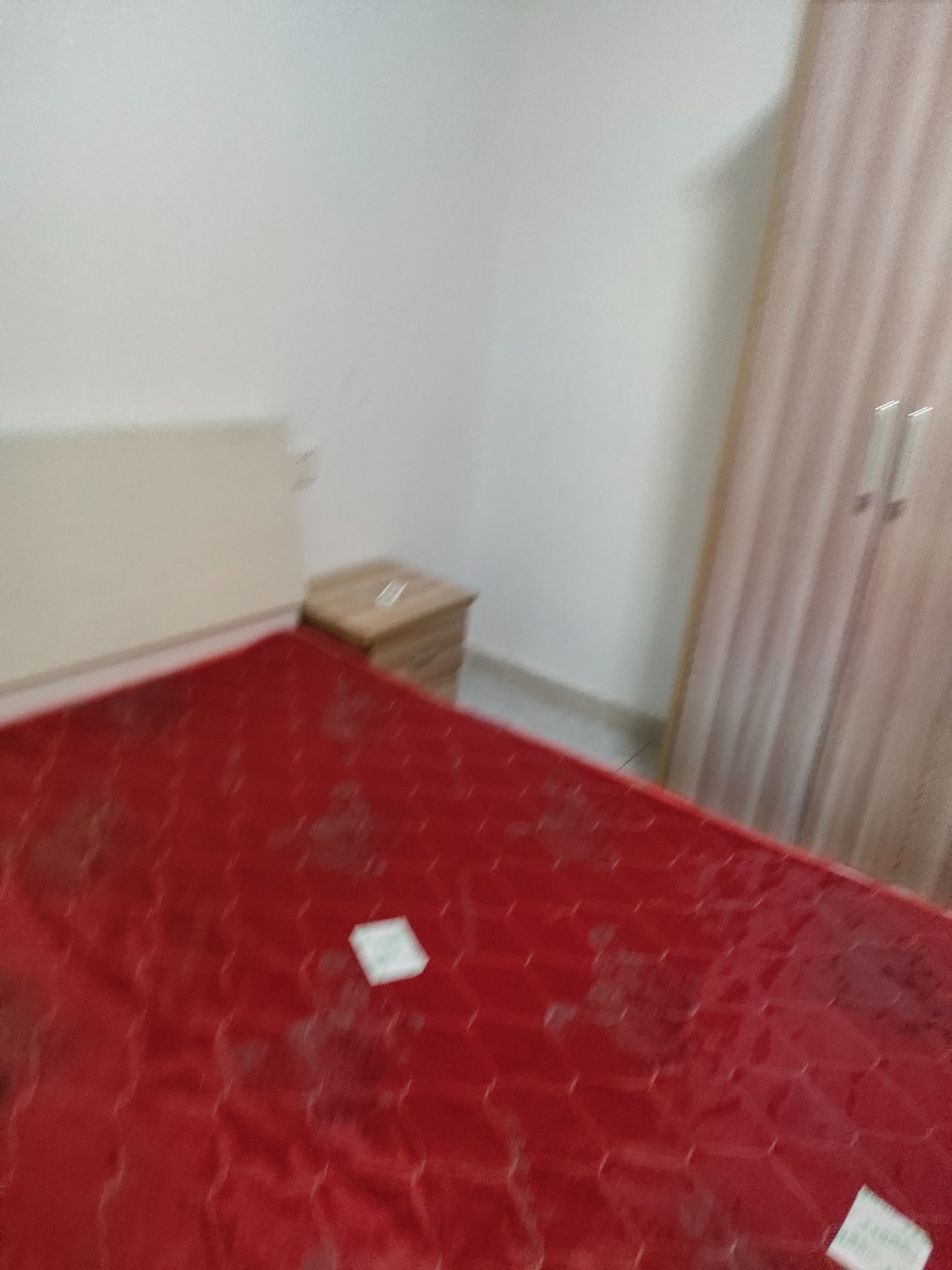 IMG20250819181636.jpg