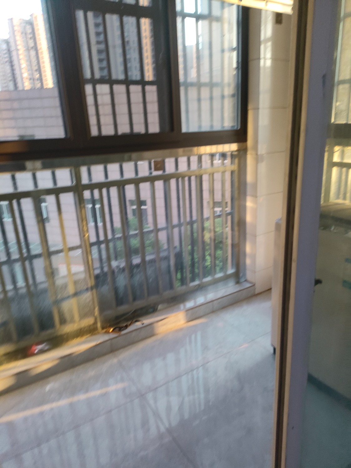 IMG20250819181632.jpg