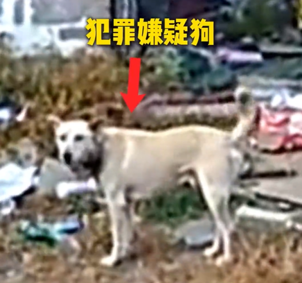 QQ20250822-082637.png