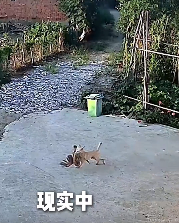 QQ20250822-082627.png