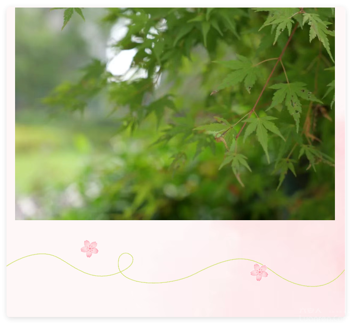 QQ20250825-7.png