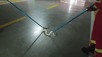 f6e55f28765e45cf65e3f3e26f1650ea.gif