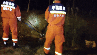 6e58c83105db37e210c52f5f5ad0639b.gif