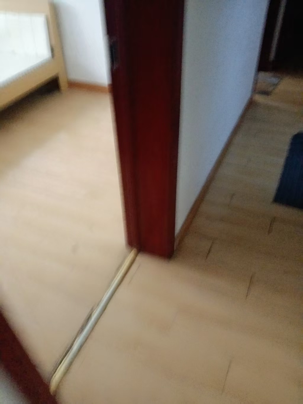 mmexport1785120738342.jpg