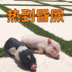 47a96886e09e865895d3e2617716af42.gif