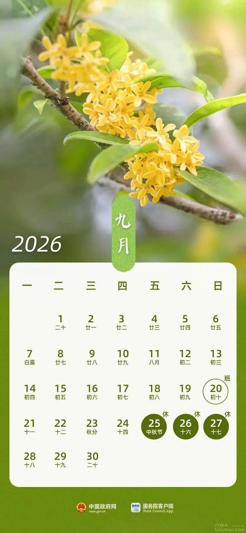 0d204f5184a878183865940a73701eff.jpg