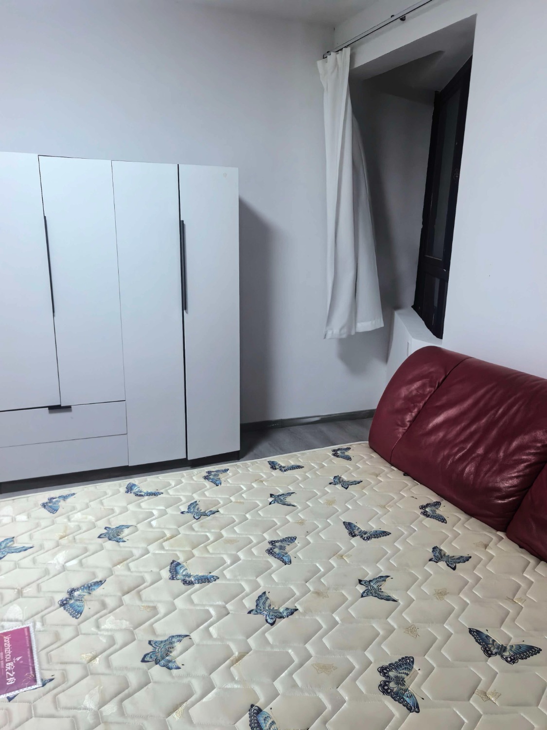 mmexport1788774866389.jpg